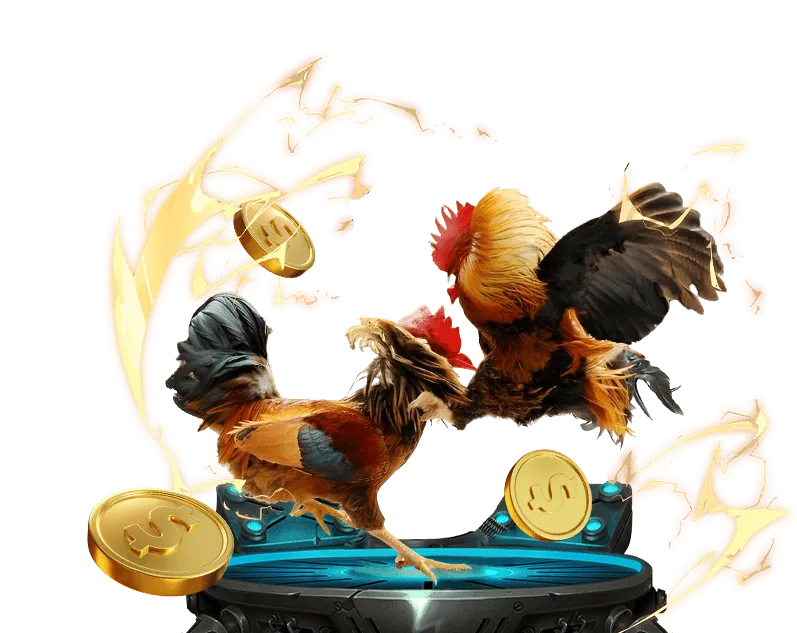 Cam Kết của Thabet GG